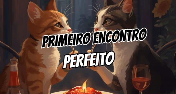 primeiro encontro perfeito