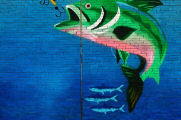 o que significa sonhar com peixe