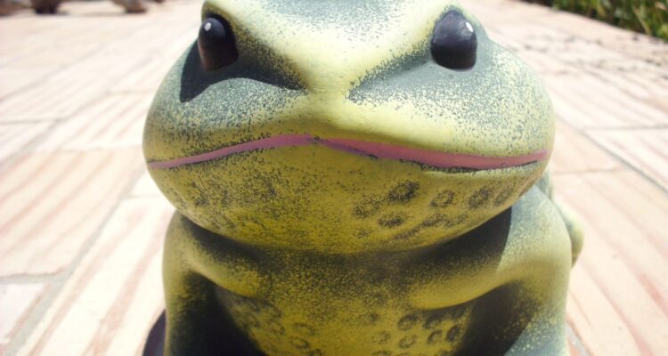 significado de sonhar com sapo