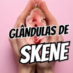 O que são as Glândulas de Skene
