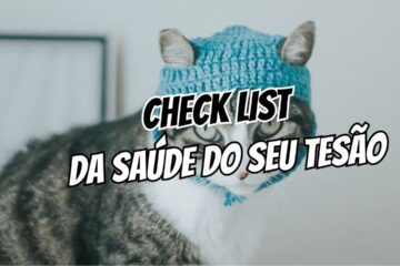 Checklist de Exames de Sangue Essenciais O Mapa da Sua Performance Hormonal