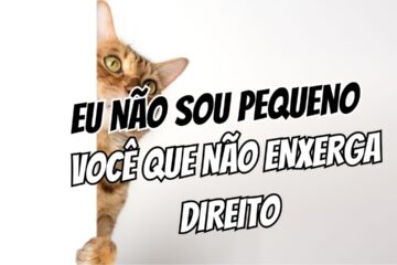 Como Lidar com a Insegurança sobre o Tamanho do Corpo Ciência e Psicologia da Performance Real