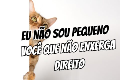 Como Lidar com a Insegurança sobre o Tamanho do Corpo Ciência e Psicologia da Performance Real