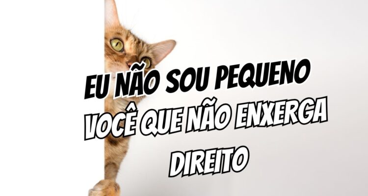 Como Lidar com a Insegurança sobre o Tamanho do Corpo: Ciência e Psicologia da Performance Real 71 Como Lidar com a Insegurança sobre o Tamanho do Corpo Ciência e Psicologia da Performance Real