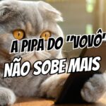 Como Recuperar o Desejo Sexual Após os 40 Anos O Guia Definitivo do Biohacking Hormonal e Mental