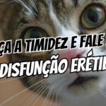 Como conversar com a parceira sobre disfunção erétil sem timidez