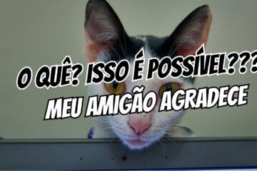 Como usar camisinha sem perder a ereção dicas práticas