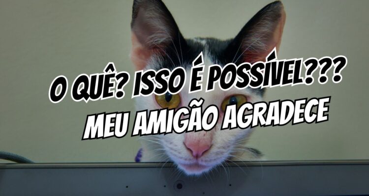 Como usar camisinha sem perder a ereção dicas práticas