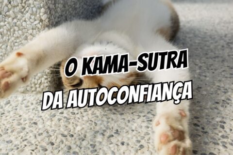 Guia de Posições Sexuais para Aumentar a Confiança e a Sensibilidade Domine o Espaço e o Prazer