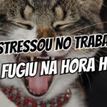 O impacto do estresse do trabalho na hora H e como reverter