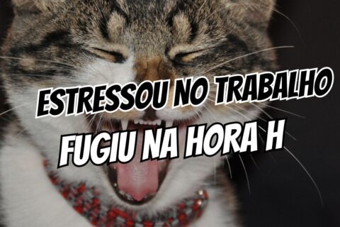 O impacto do estresse do trabalho na hora H e como reverter