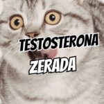 O que causa a queda de testosterona e como identificar os sinais