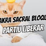 Chakra Sacral Bloqueado 7 Sinais Que Sua Energia Sexual Travou