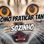 Como Praticar Tantra Sozinho (Sem Parceiro, Sem Bobagem)
