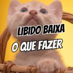 Libido Baixa O Que Fazer Quando o Desejo Some no Relacionamento (Guia Prático e Emocional)
