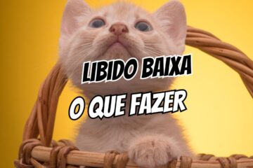 Libido Baixa O Que Fazer Quando o Desejo Some no Relacionamento (Guia Prático e Emocional)