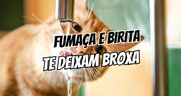 O Impacto do Álcool e Cigarro Por que os vícios podem estar acelerando o seu tempo de resposta