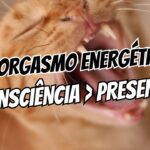 Orgasmo Energético Como Ter Prazer Sem Tocar o Corpo
