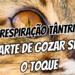 Respiração Tântrica A Técnica Que Ninguém Te Ensina
