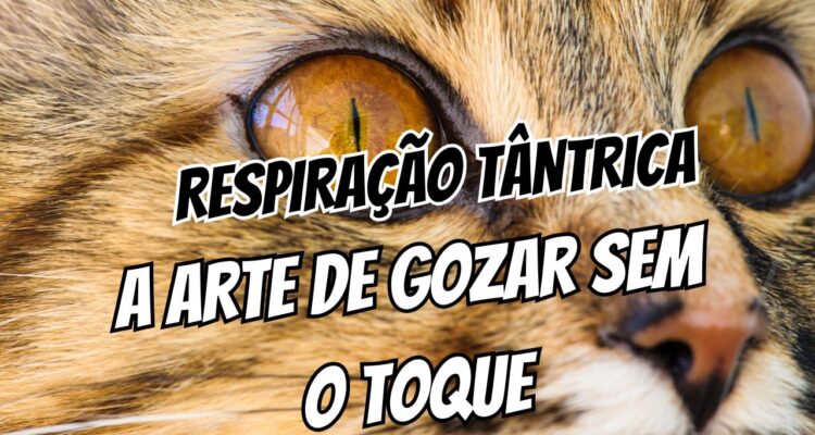 Respiração Tântrica A Técnica Que Ninguém Te Ensina