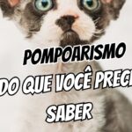 pompoarismo