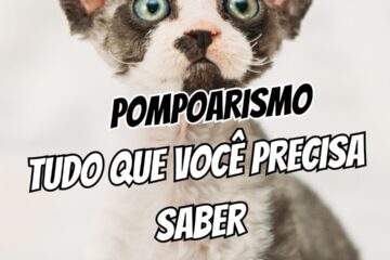 pompoarismo