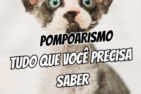 pompoarismo